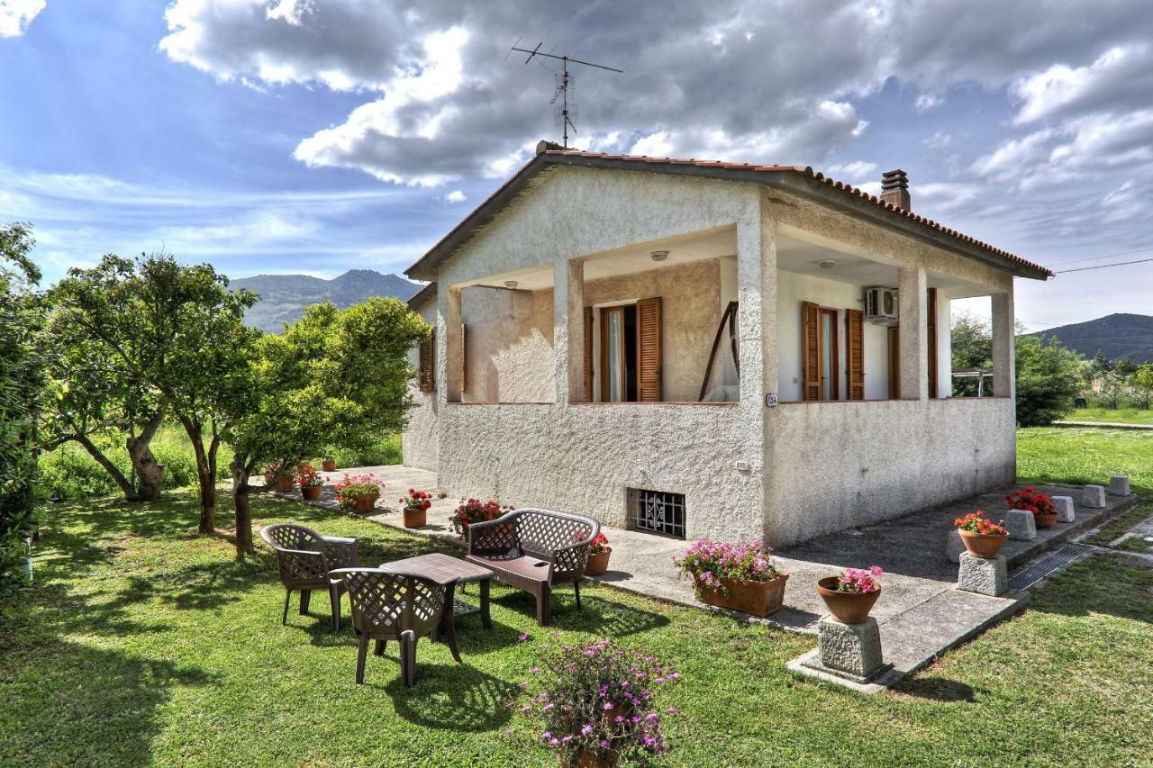 Ricci Apartament *